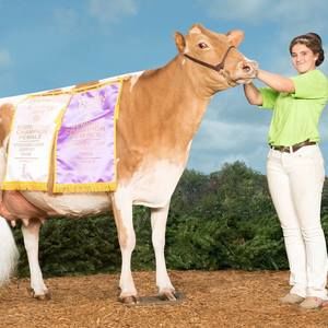 Meet your Posher, Dana